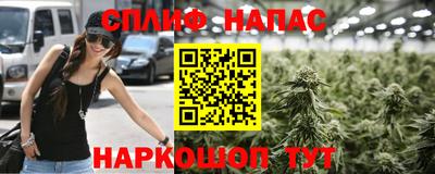 соль ск Будённовск