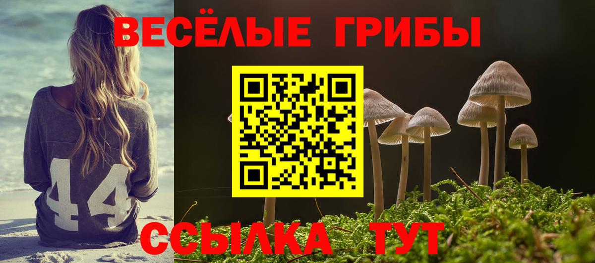 Галлюциногенные грибы MAGIC MUSHROOMS Ливны